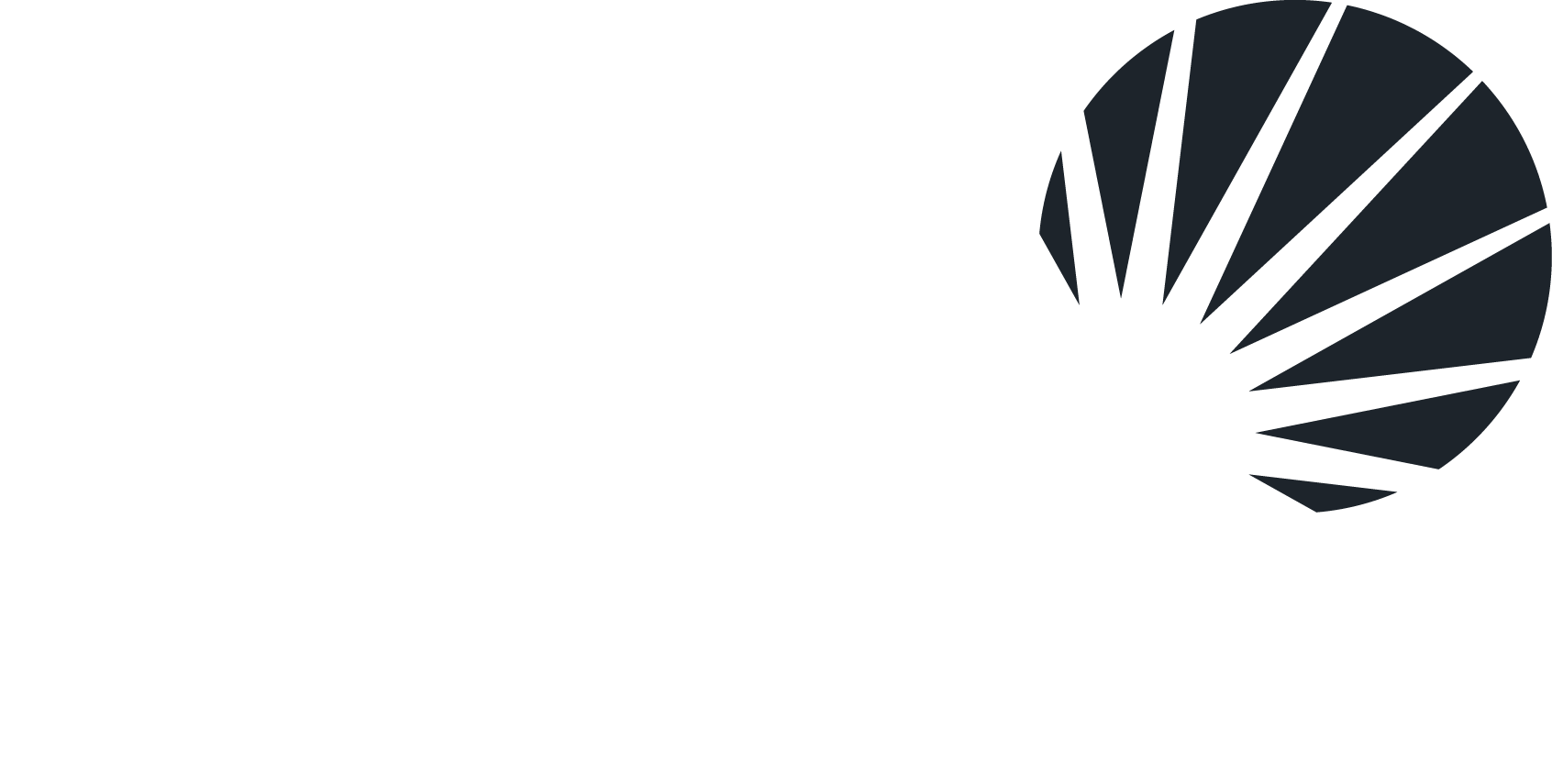 Solr Logo on orange (PNG format, 1692x855)